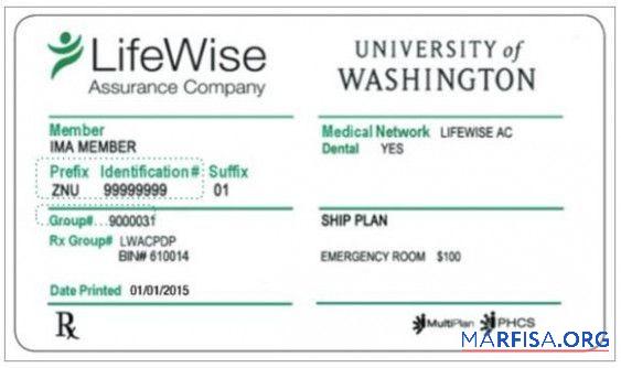 Blank USA University of Washington LifeWise company health insurance card sample